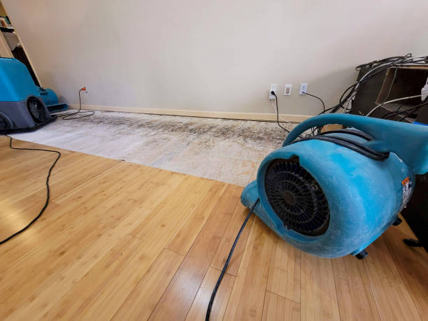 Professional Structural Drying technician working in Brownsville, OR